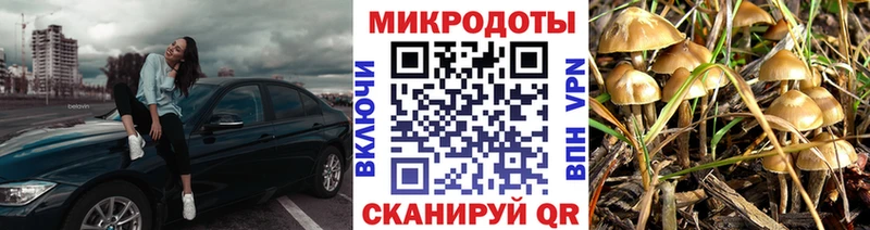Псилоцибиновые грибы ЛСД  Порхов 